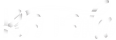 new-logo-whie.png
